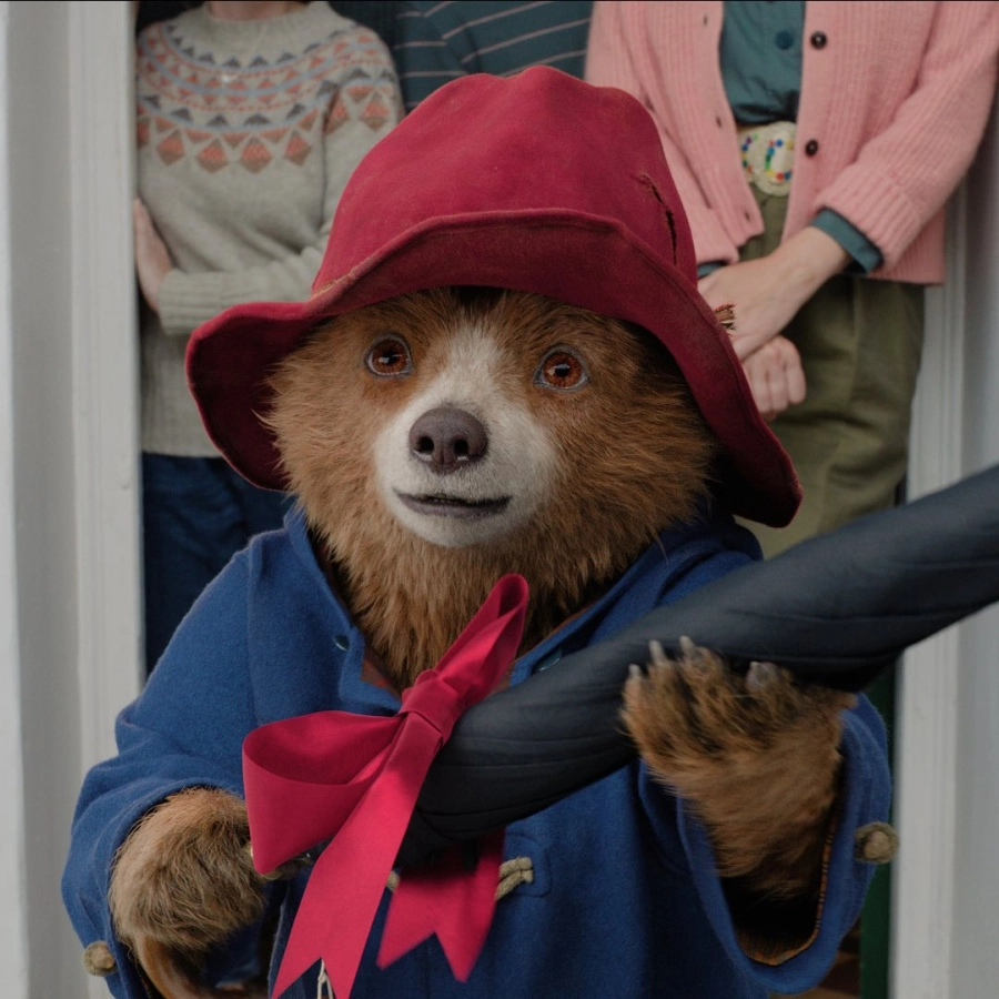 Gấu Paddington tái xuất, quậy đục nước trong hành trình phiêu lưu mới