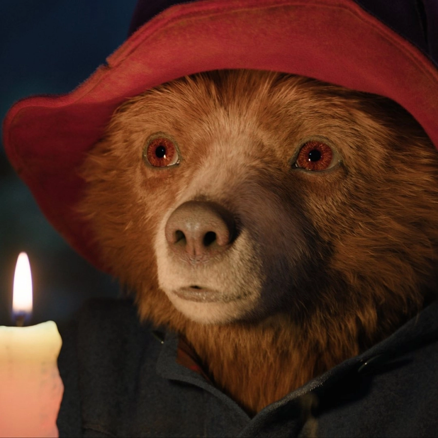 Gấu Paddington tái xuất, quậy đục nước trong hành trình phiêu lưu mới