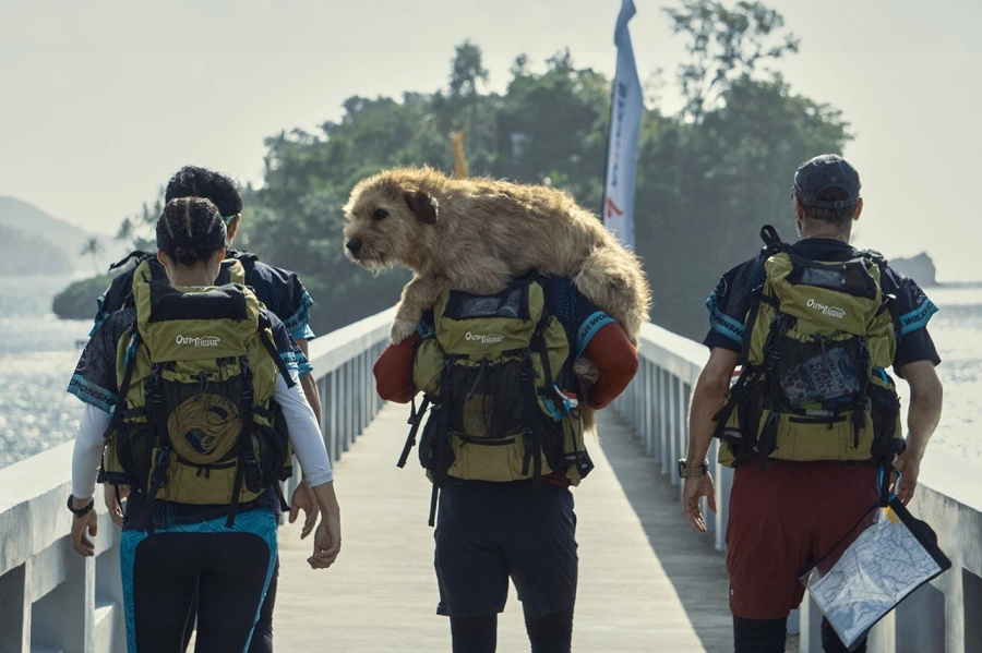 Arthur: Chú chó kiên cường