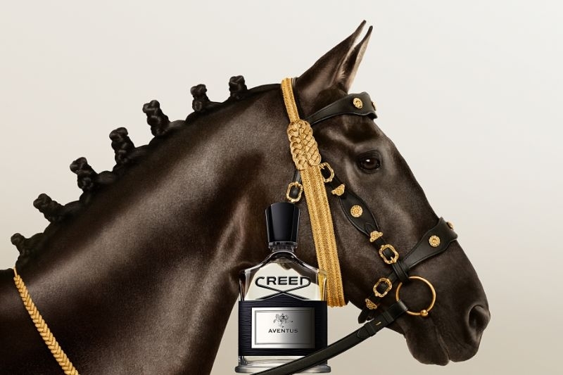 Hành trình khẳng định đẳng cấp của Creed Aventus