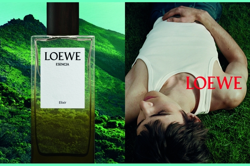 Cùng ngắm nhìn chiến dịch quảng bá nước hoa LOEWE đầu tiên của Jack McCollough và Lazaro Hernandez