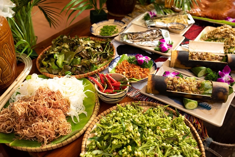 Lý Nhã Kỳ cùng dàn nghệ sĩ khám phá nét đẹp văn hóa Gia Lai