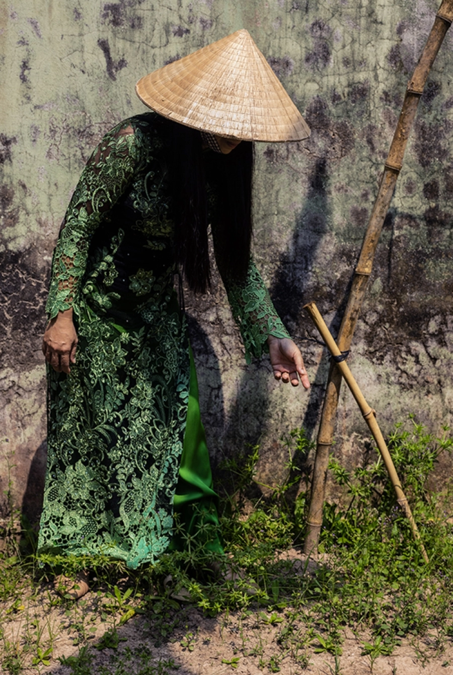 Triển lãm ảnh ‘Mối giao cảm giữa con người và động vật – Tina MERANDON’