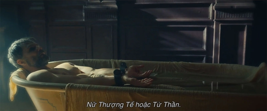 Tarot: Khi những lá bài trở thành nỗi ám ảnh kinh hoàng