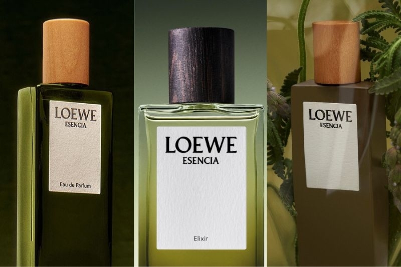 LOEWE Esencia ba phiên bản, một bản sắc nam tính vượt thời gian 