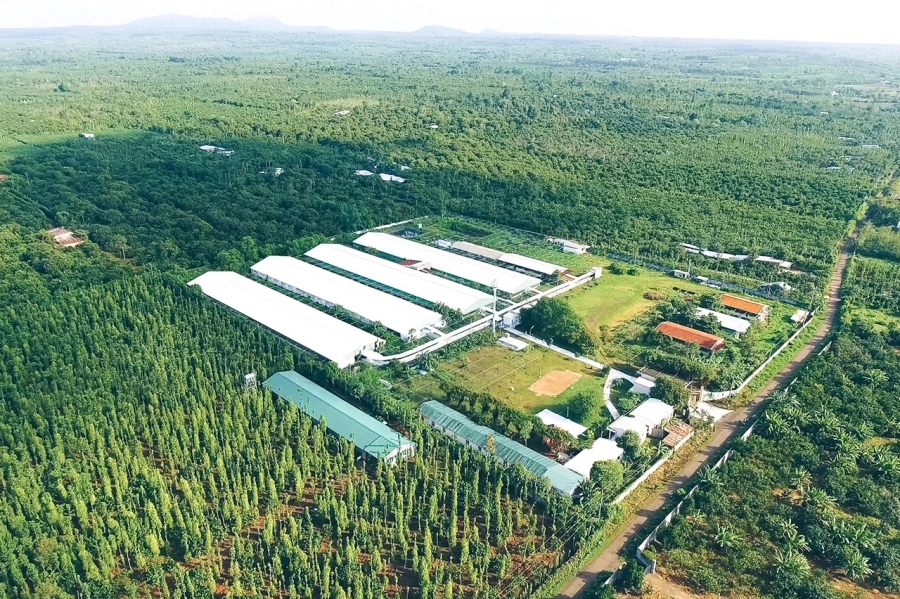 Greenfeed Việt Nam tăng trưởng lợi nhuận bền vững