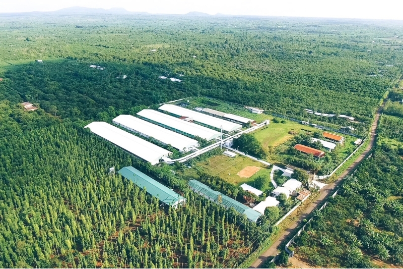 Greenfeed Việt Nam tăng trưởng lợi nhuận bền vững